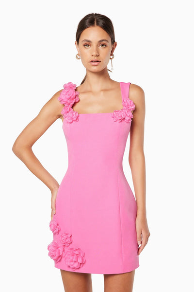 Trompe Dress - Pink - SHOPJAUS - JAUS