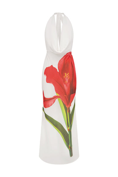 Jasmine Maxi Dress - Red Lily - SHOPJAUS - JAUS