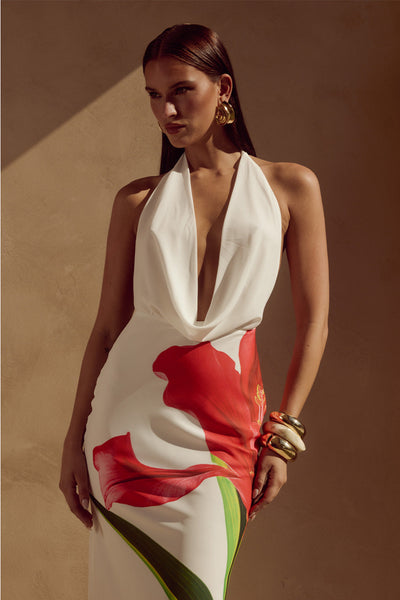 Jasmine Maxi Dress - Red Lily - SHOPJAUS - JAUS