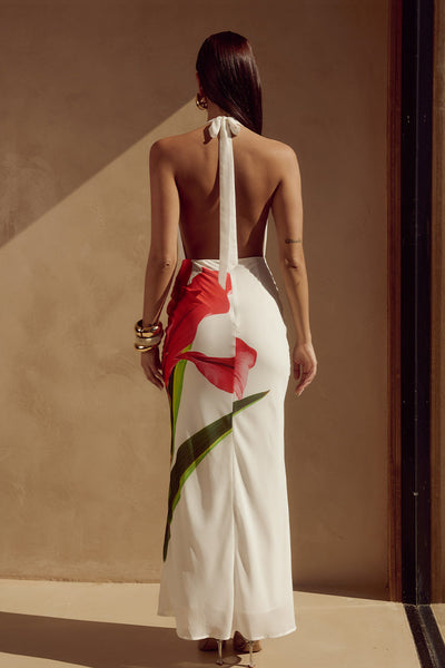 Jasmine Maxi Dress - Red Lily - SHOPJAUS - JAUS