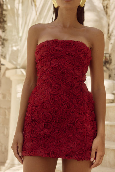 Rosalina Mini Dress - Cherry - SHOPJAUS - JAUS
