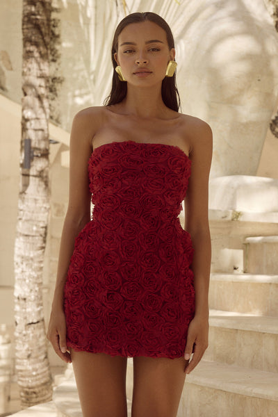 Rosalina Mini Dress - Cherry - SHOPJAUS - JAUS
