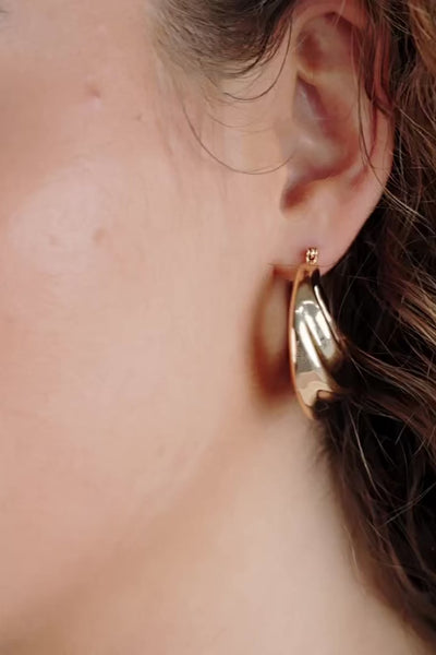 Crescent Swirl Hoop Earrings
